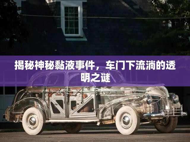 揭秘神秘黏液事件，車門下流淌的透明之謎