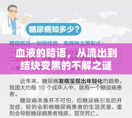 血液的暗語，從流出到結(jié)塊變黑的不解之謎