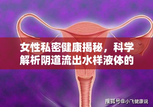 女性私密健康揭秘，科學(xué)解析陰道流出水樣液體的原因