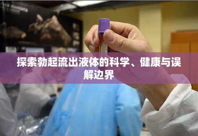 探索勃起流出液體的科學(xué)、健康與誤解邊界