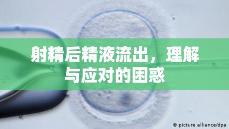 射精后精液流出，理解與應(yīng)對的困惑