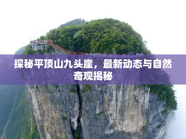 探秘平頂山九頭崖，最新動態(tài)與自然奇觀揭秘