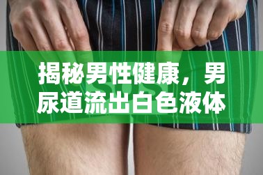 揭秘男性健康，男尿道流出白色液體的真相與應對策略