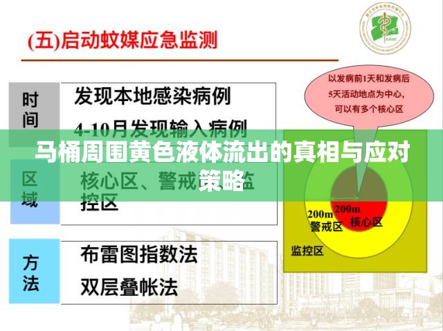 馬桶周?chē)S色液體流出的真相與應(yīng)對(duì)策略