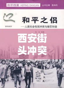 西安街頭沖突，深度解析與反思社會事件