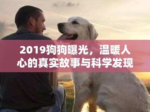 2019狗狗曝光，溫暖人心的真實故事與科學發(fā)現(xiàn)