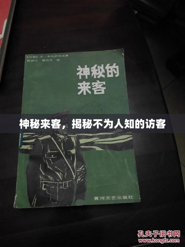 神秘來(lái)客，揭秘不為人知的訪(fǎng)客