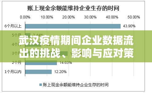 武漢疫情期間企業(yè)數(shù)據(jù)流出的挑戰(zhàn)、影響與應(yīng)對(duì)策略