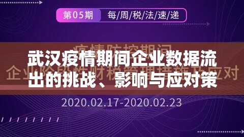 武漢疫情期間企業(yè)數(shù)據(jù)流出的挑戰(zhàn)、影響與應(yīng)對(duì)策略