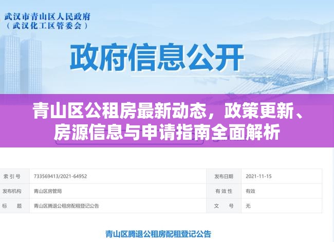 青山區(qū)公租房最新動態(tài)，政策更新、房源信息與申請指南全面解析