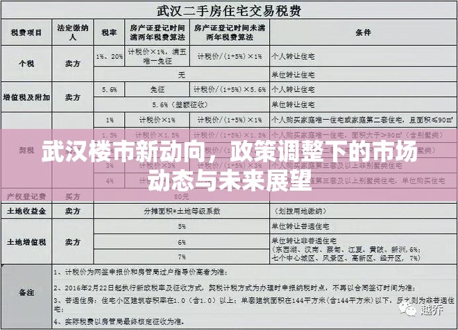 武漢樓市新動向，政策調(diào)整下的市場動態(tài)與未來展望