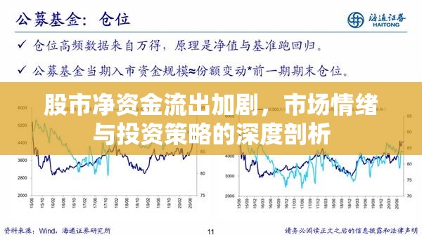 股市凈資金流出加劇，市場情緒與投資策略的深度剖析