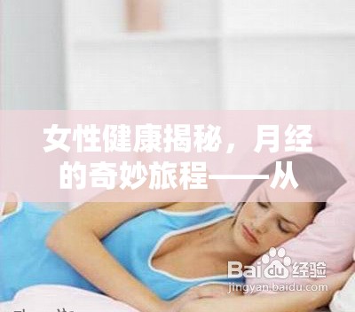 女性健康揭秘，月經(jīng)的奇妙旅程——從子宮到體外的探索