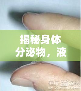 揭秘身體分泌物，液體流出的科學(xué)奧秘