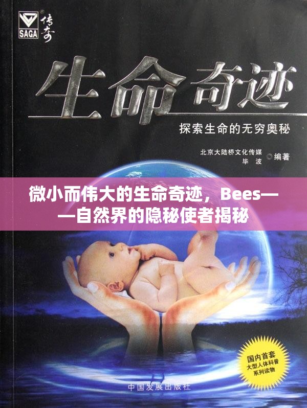 微小而偉大的生命奇跡，Bees——自然界的隱秘使者揭秘