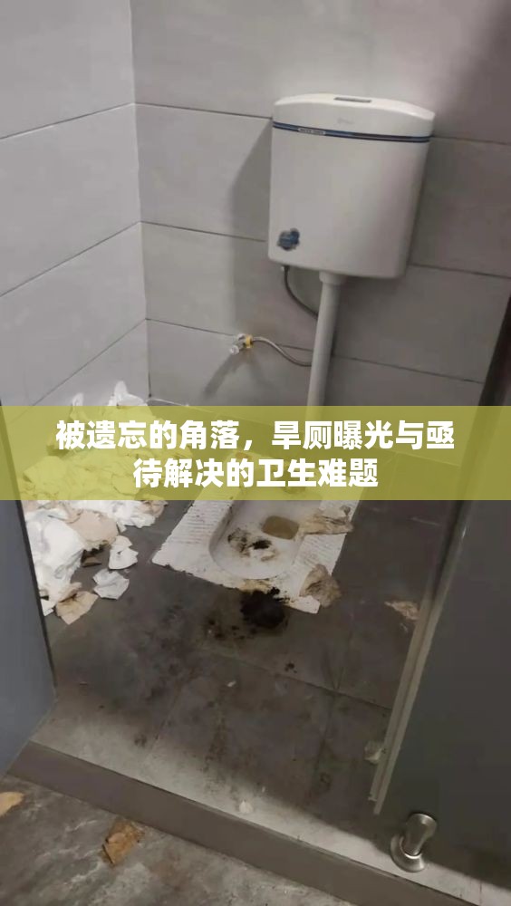 被遺忘的角落，旱廁曝光與亟待解決的衛(wèi)生難題