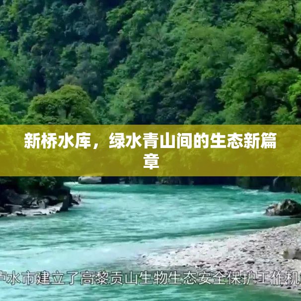 新橋水庫，綠水青山間的生態(tài)新篇章