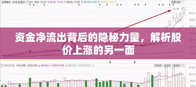 資金凈流出背后的隱秘力量，解析股價(jià)上漲的另一面