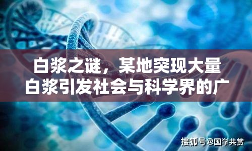 白漿之謎，某地突現(xiàn)大量白漿引發(fā)社會(huì)與科學(xué)界的廣泛關(guān)注