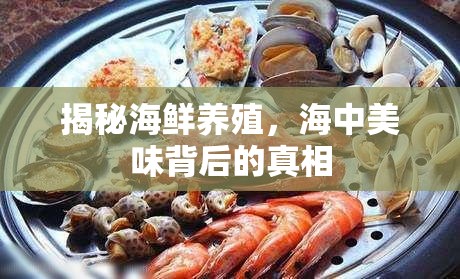 揭秘海鮮養(yǎng)殖，海中美味背后的真相