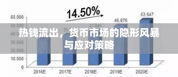 熱錢流出，貨幣市場的隱形風暴與應(yīng)對策略