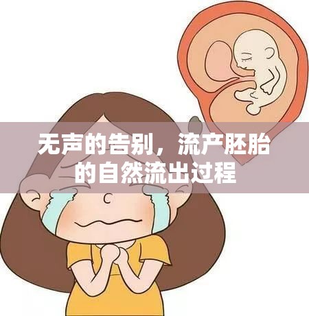 無(wú)聲的告別，流產(chǎn)胚胎的自然流出過(guò)程