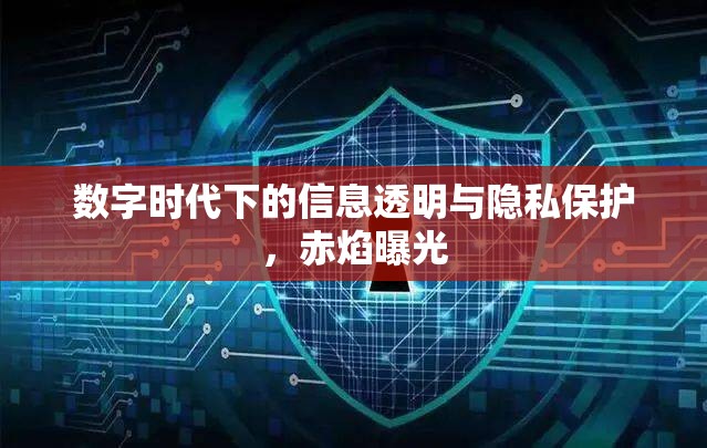 數字時代下的信息透明與隱私保護，赤焰曝光