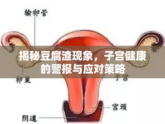 揭秘豆腐渣現(xiàn)象，子宮健康的警報與應對策略