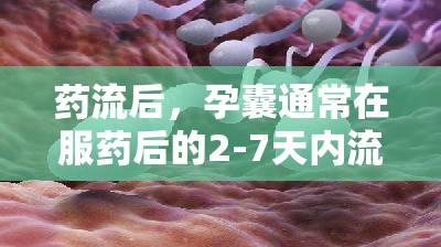 藥流后，孕囊通常在服藥后的2-7天內(nèi)流出。