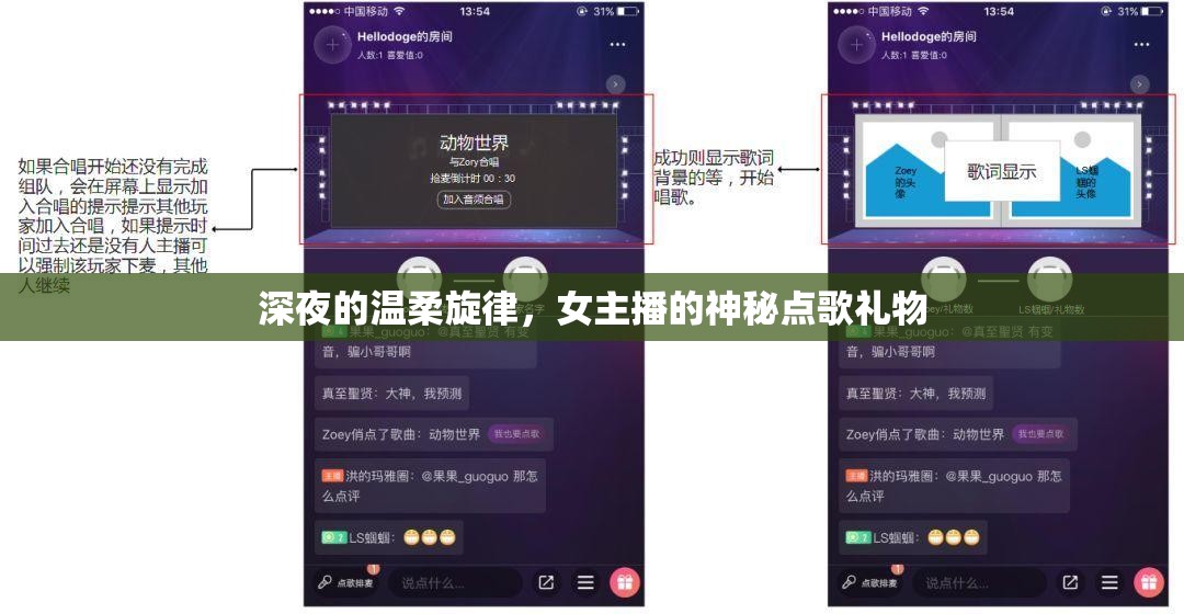 深夜的溫柔旋律，女主播的神秘點(diǎn)歌禮物
