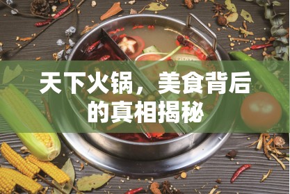 天下火鍋，美食背后的真相揭秘