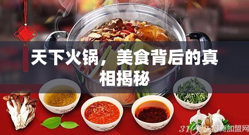 天下火鍋，美食背后的真相揭秘