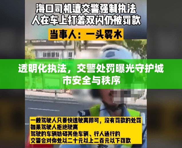 透明化執(zhí)法，交警處罰曝光守護(hù)城市安全與秩序