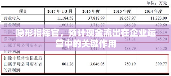 隱形指揮官，預計現(xiàn)金流出在企業(yè)運營中的關鍵作用