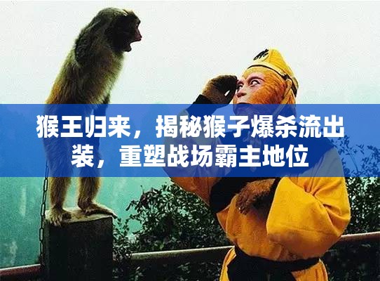 猴王歸來，揭秘猴子爆殺流出裝，重塑戰(zhàn)場霸主地位