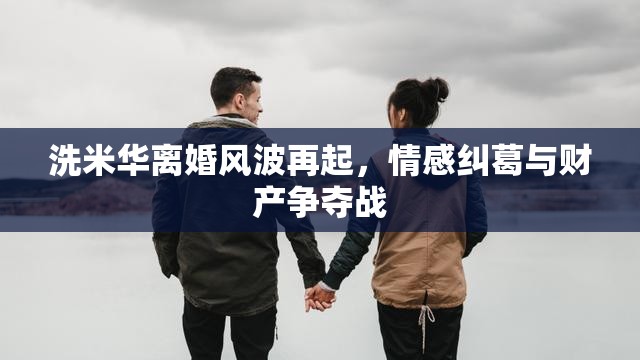 洗米華離婚風(fēng)波再起，情感糾葛與財產(chǎn)爭奪戰(zhàn)