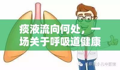 痰液流向何處，一場關于呼吸道健康的微妙探索