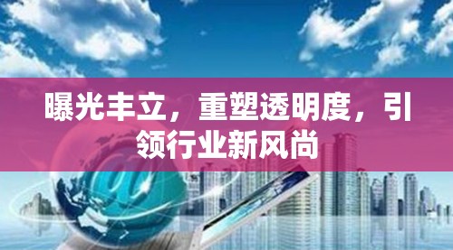 曝光豐立，重塑透明度，引領(lǐng)行業(yè)新風(fēng)尚