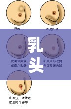 乳頭流出液體的原因及解析