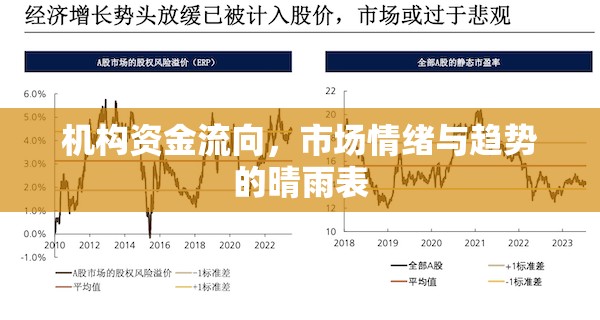 機(jī)構(gòu)資金流向，市場情緒與趨勢的晴雨表