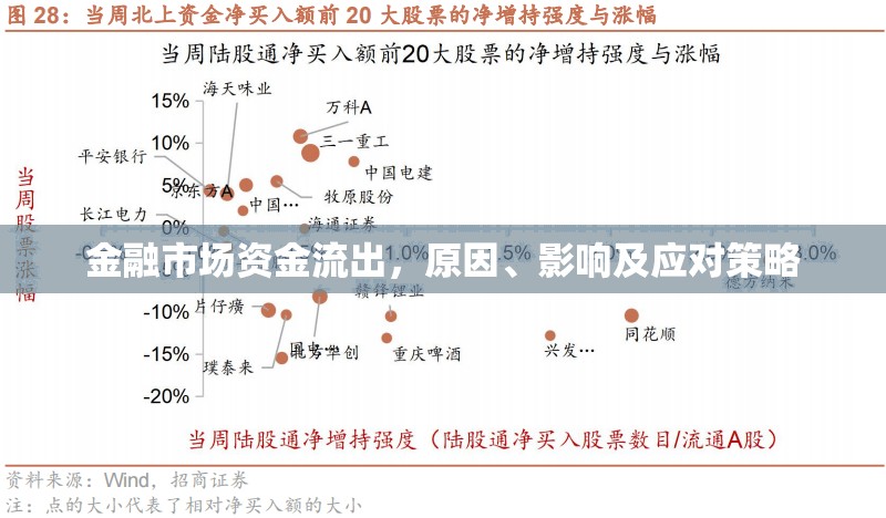 金融市場資金流出，原因、影響及應對策略