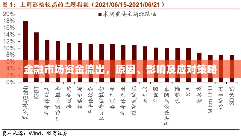 金融市場(chǎng)資金流出，原因、影響及應(yīng)對(duì)策略