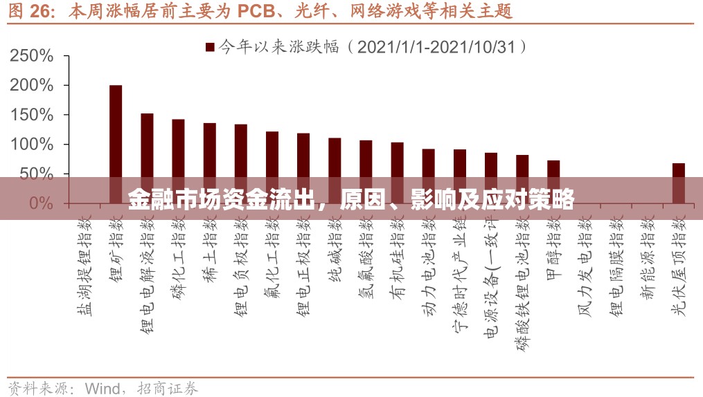 金融市場資金流出，原因、影響及應對策略