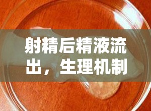 射精后精液流出，生理機(jī)制、心理影響及性愛技巧的全面解析