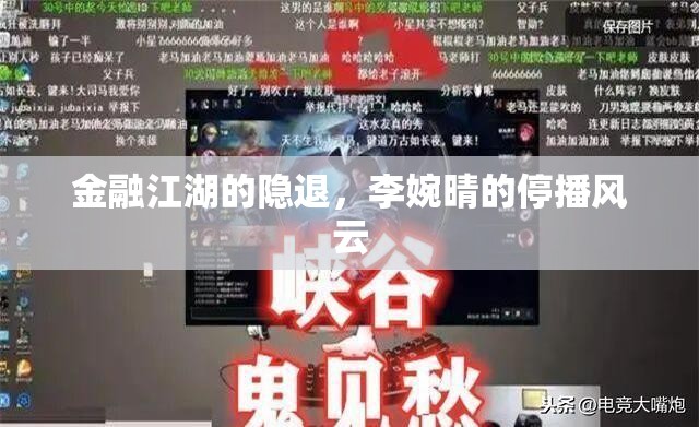 金融江湖的隱退，李婉晴的停播風(fēng)云