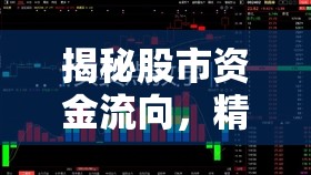 揭秘股市資金流向，精準把握大盤資金流入流出的奧秘