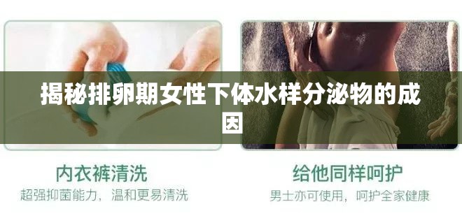 揭秘排卵期女性下體水樣分泌物的成因