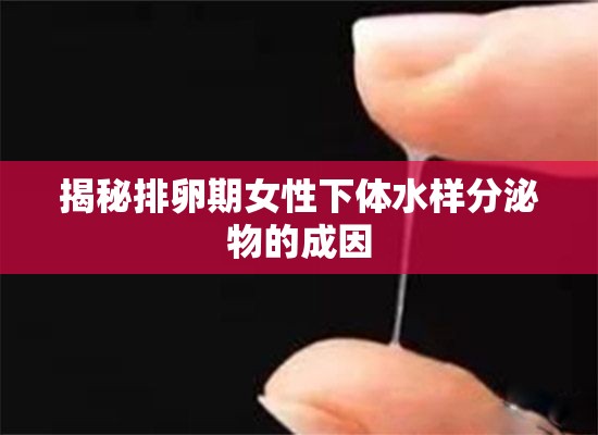 揭秘排卵期女性下體水樣分泌物的成因