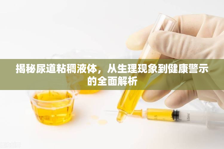 揭秘尿道粘稠液體，從生理現(xiàn)象到健康警示的全面解析