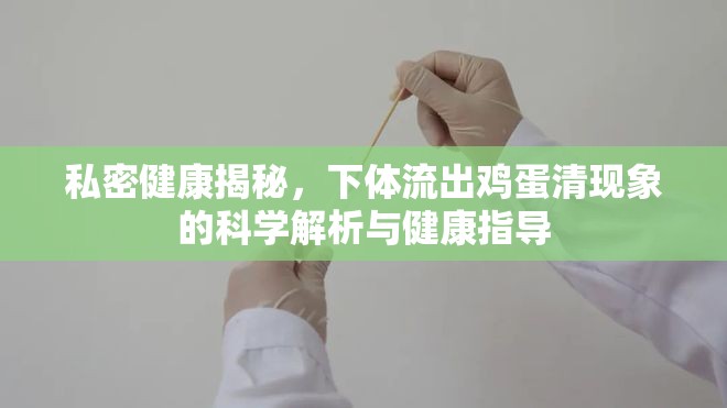 私密健康揭秘，下體流出雞蛋清現(xiàn)象的科學(xué)解析與健康指導(dǎo)